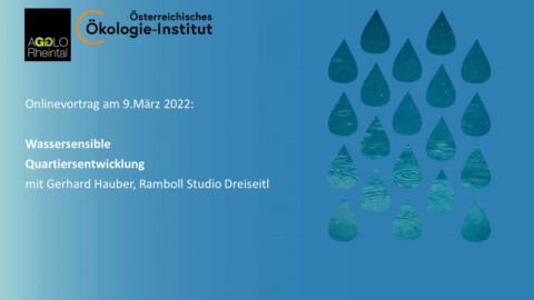 Wassersensible Quartiersentwicklung – Online Vortrag mit Gerhard Hauber